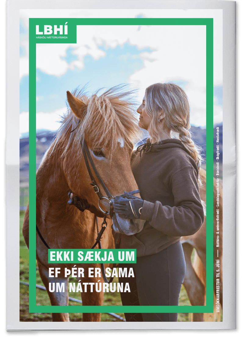 Mynd sem tengist textanum