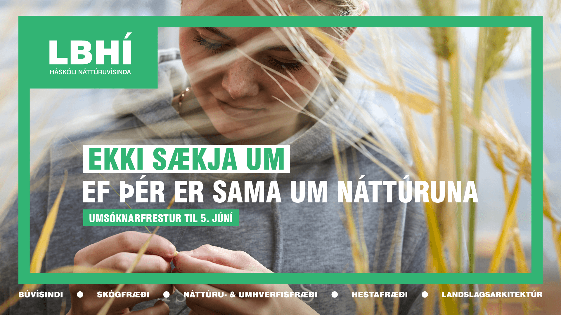 Mynd sem tengist textanum