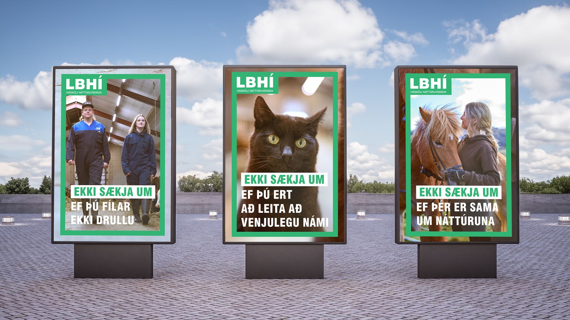 Mynd sem tengist textanum