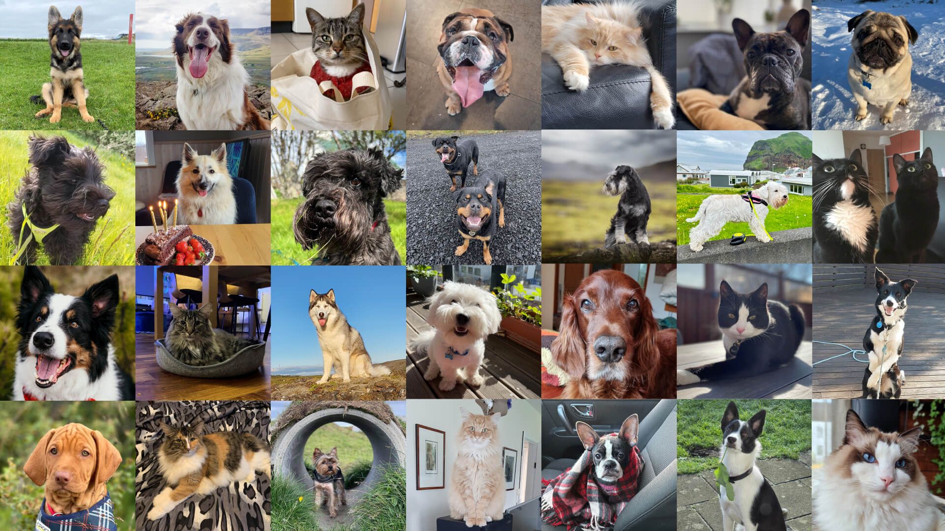 Mynd sem tengist textanum