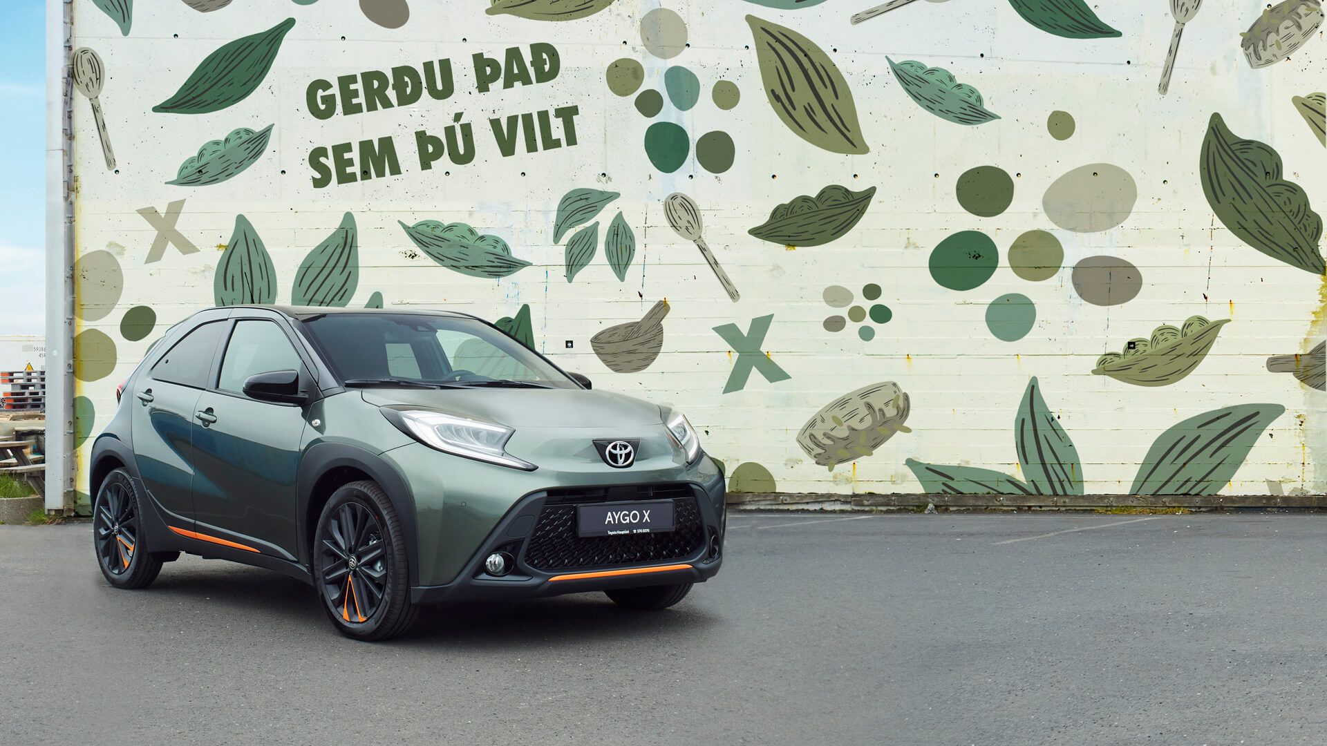 Mynd sem tengist textanum