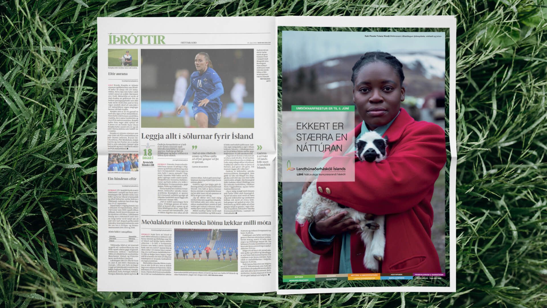 Mynd sem tengist textanum