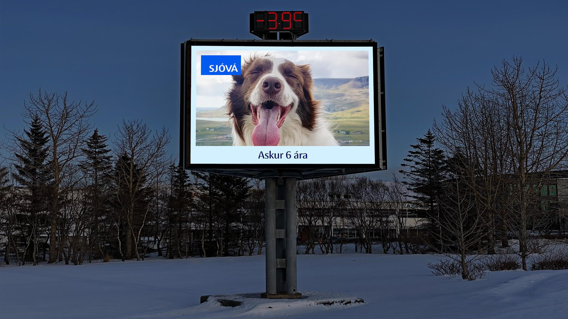 Mynd sem tengist textanum