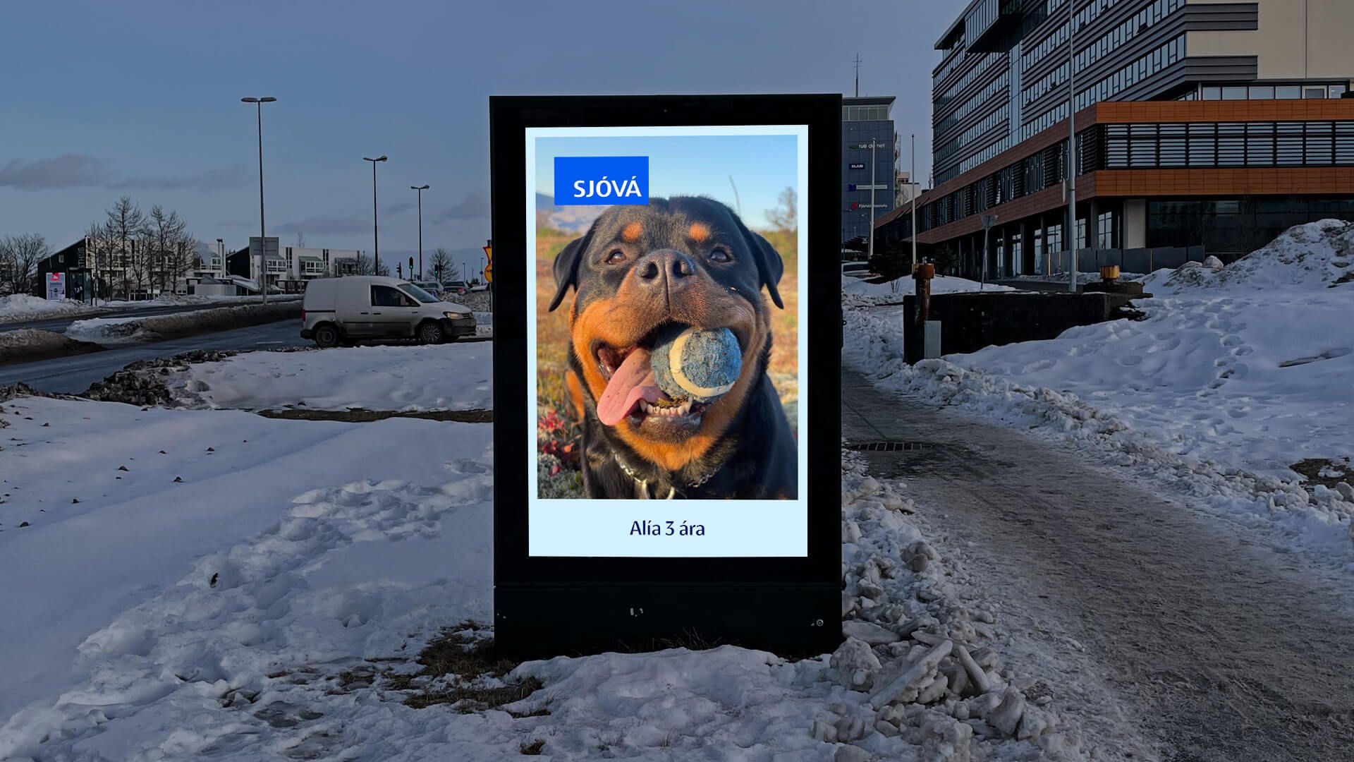 Mynd sem tengist textanum