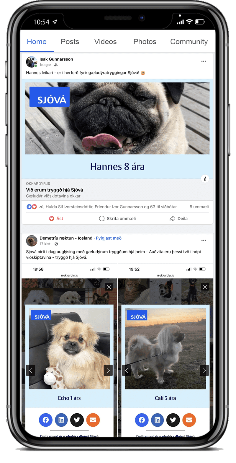 Mynd sem tengist textanum
