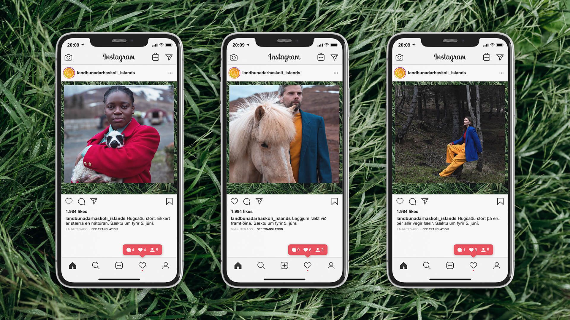 Mynd sem tengist textanum