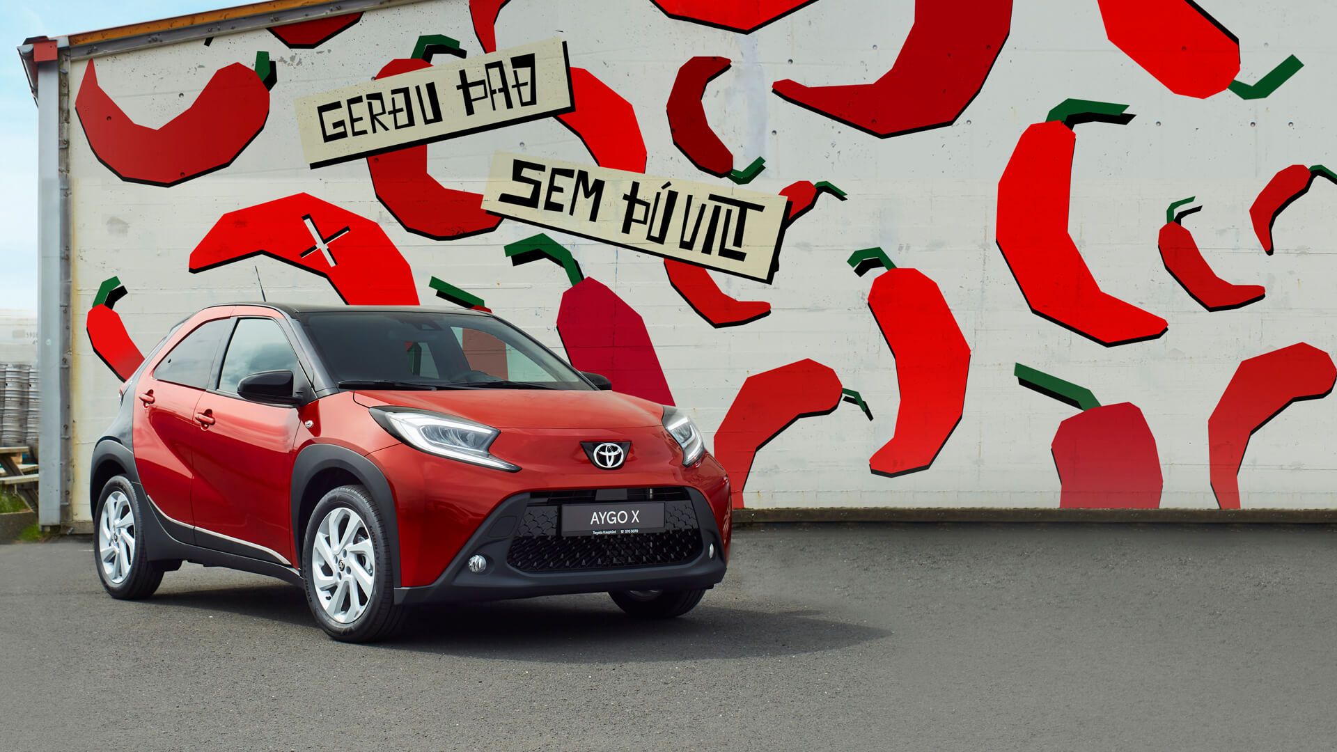 Mynd sem tengist textanum