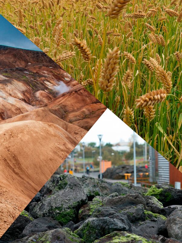 Mynd sem tengist textanum