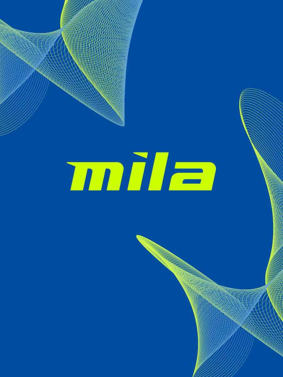 Mynd sem tengist textanum