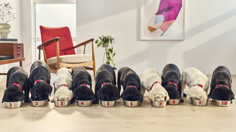 Mynd sem tengist textanum