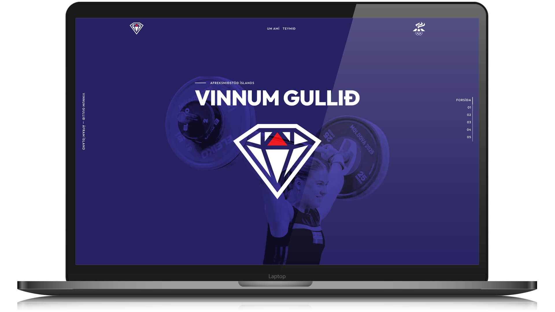 Mynd sem tengist textanum